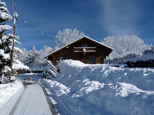 Hiver janvier 2015 (7)